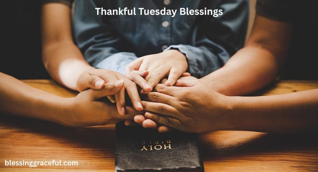 Thankful Tuesday Blessings