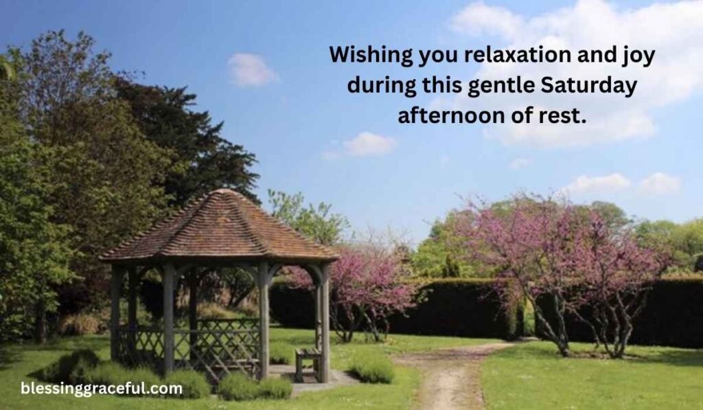 Saturday Afternoon Blessings to Relax
