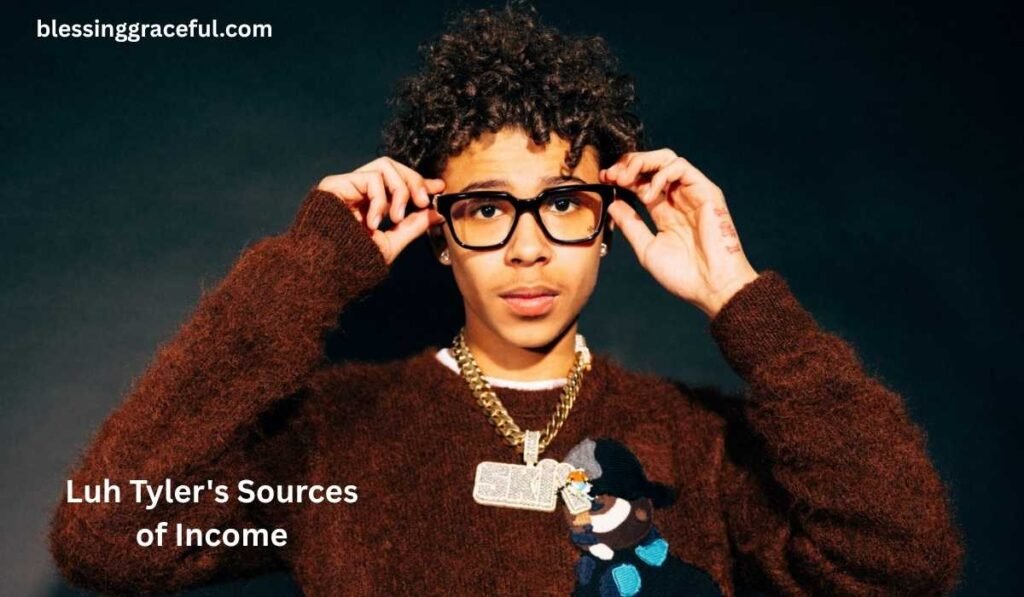 Luh Tyler's Sources of Income