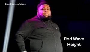 Rod Wave Height